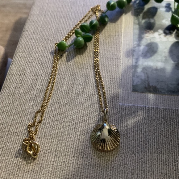 16’’ Seashell Necklace - 14K gold fill on sterling silver - Picture 2 of 6